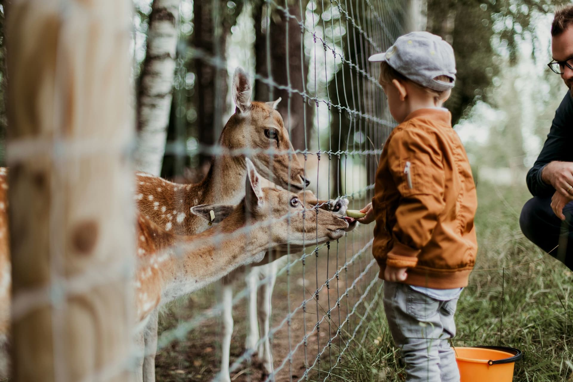 Schwarzwaldzoo Waldkirch