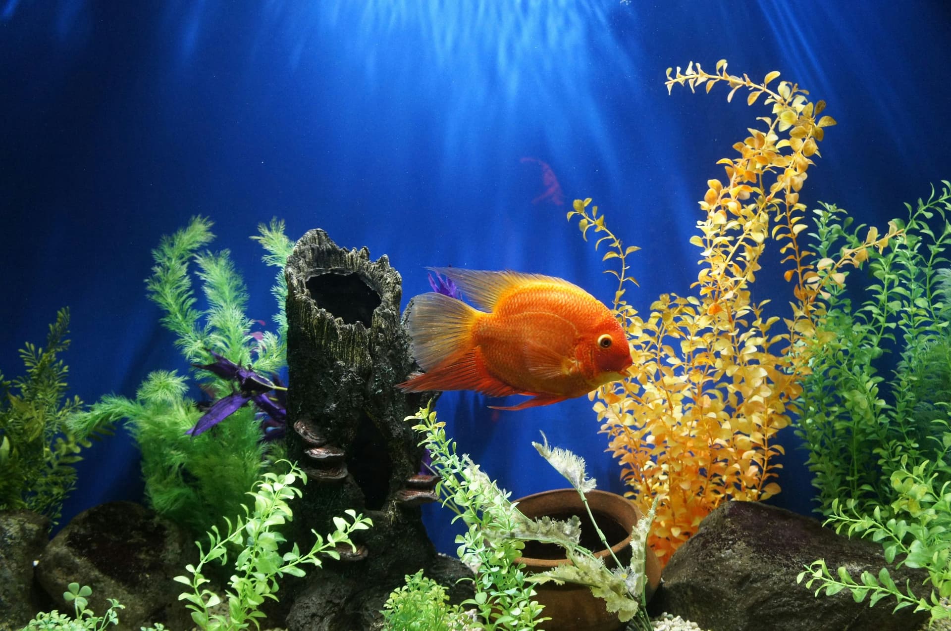 SEA LIFE Konstanz