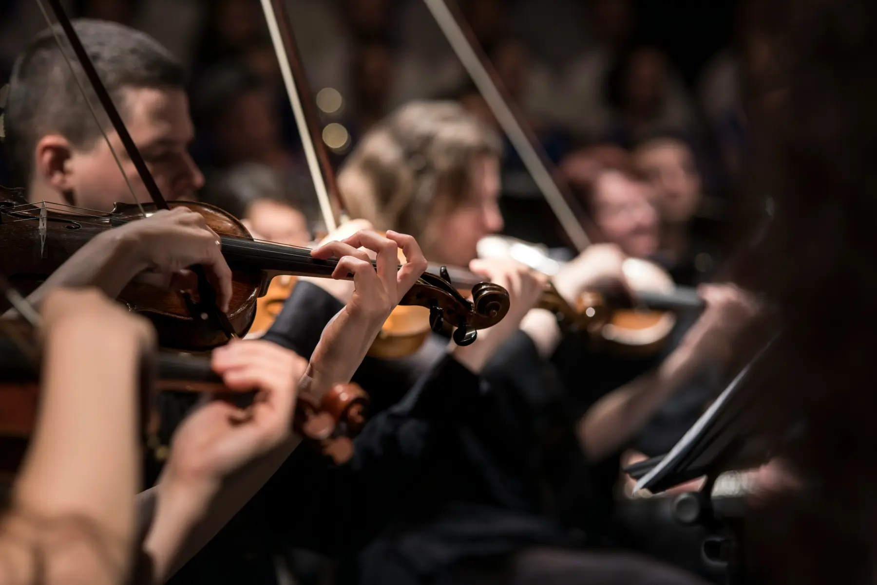 Gemeindemusikkapelle Immendingen Veranstaltungen
